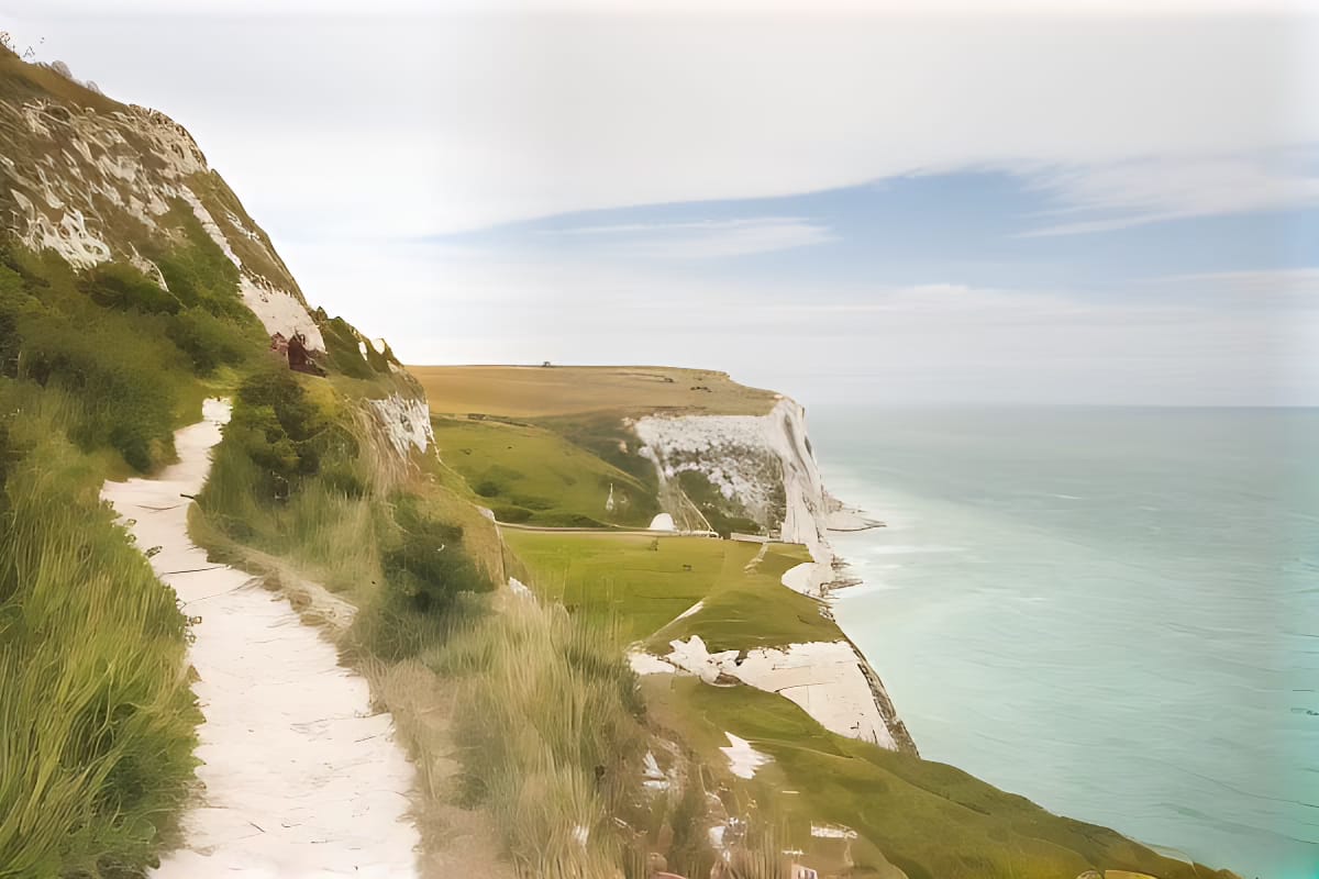 b456a195 a13c 465b 9251 14e6701e2475 out png