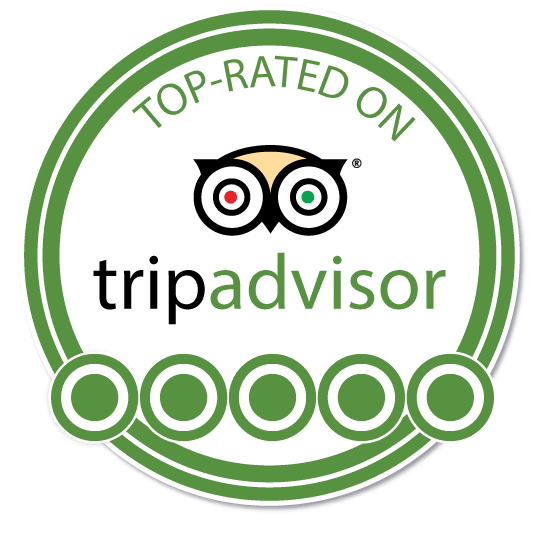 TripAdvisor Logo Plain png