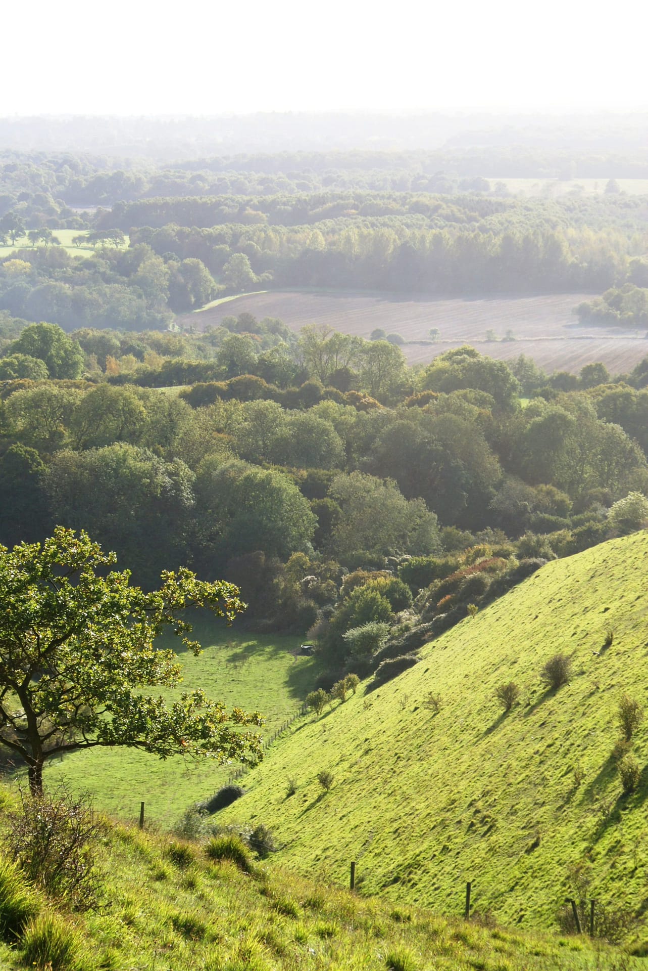 UK Tours with Shakespeare Coaches